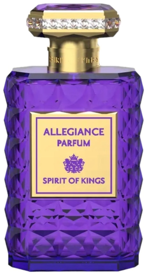 Spirit Of Kings SPIRIT OF KINGS ALLEGIANCE духи PARFUM 100 мл, унисекс
