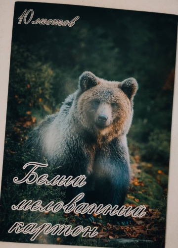 Белый 141583909, мелованный А4, 10 л