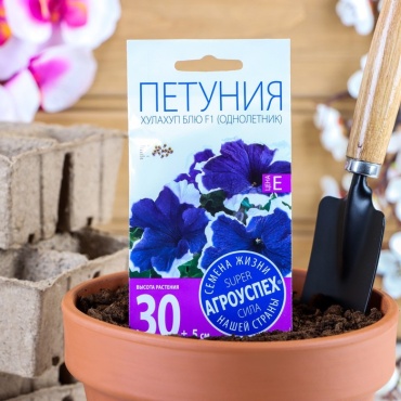 Агроуспех петуния Хулахуп блю
