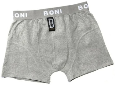 Боксеры Boni серый