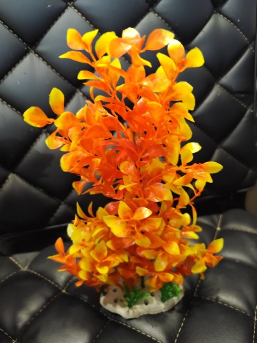 Фото 3