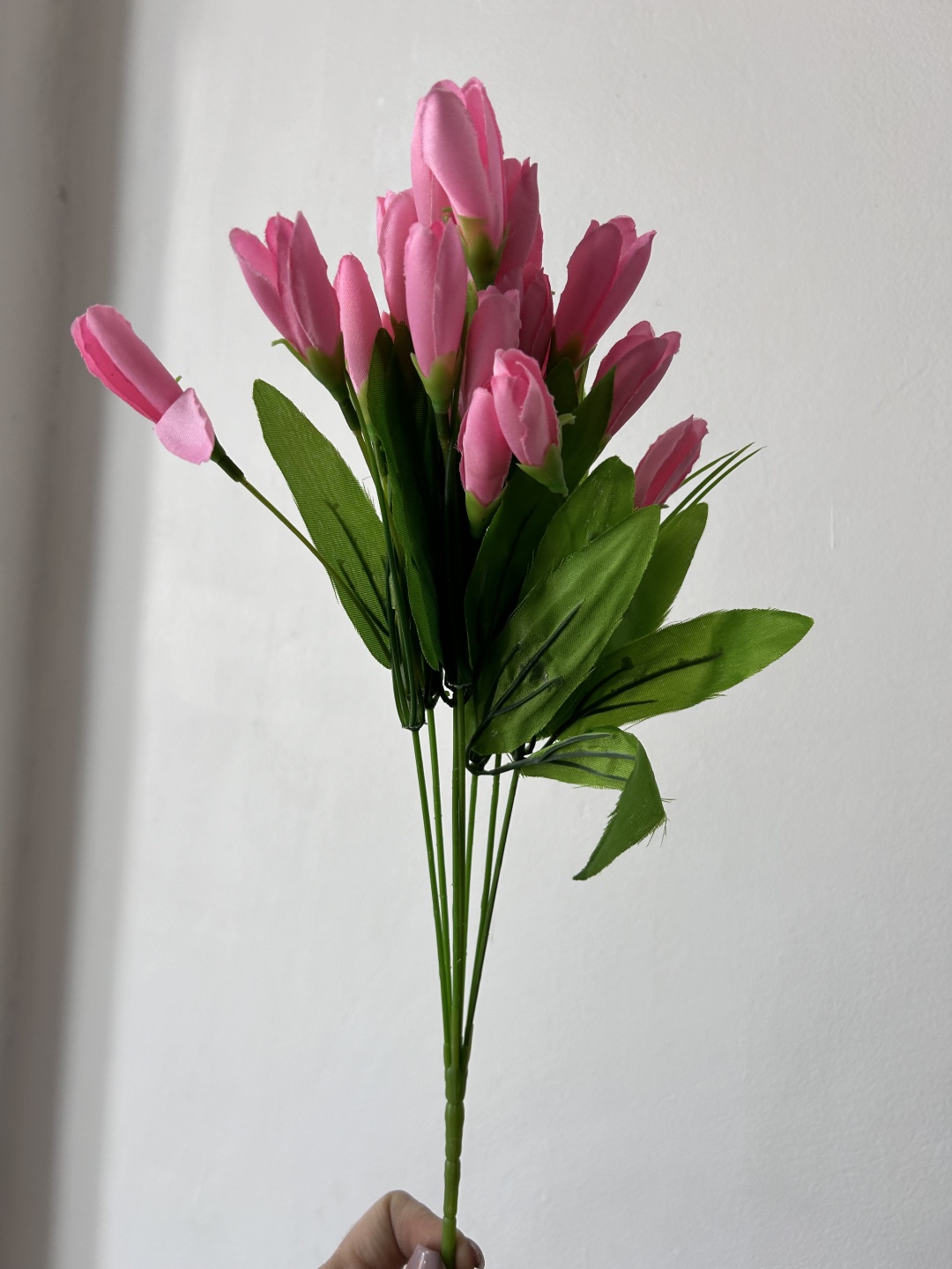 Фото 3