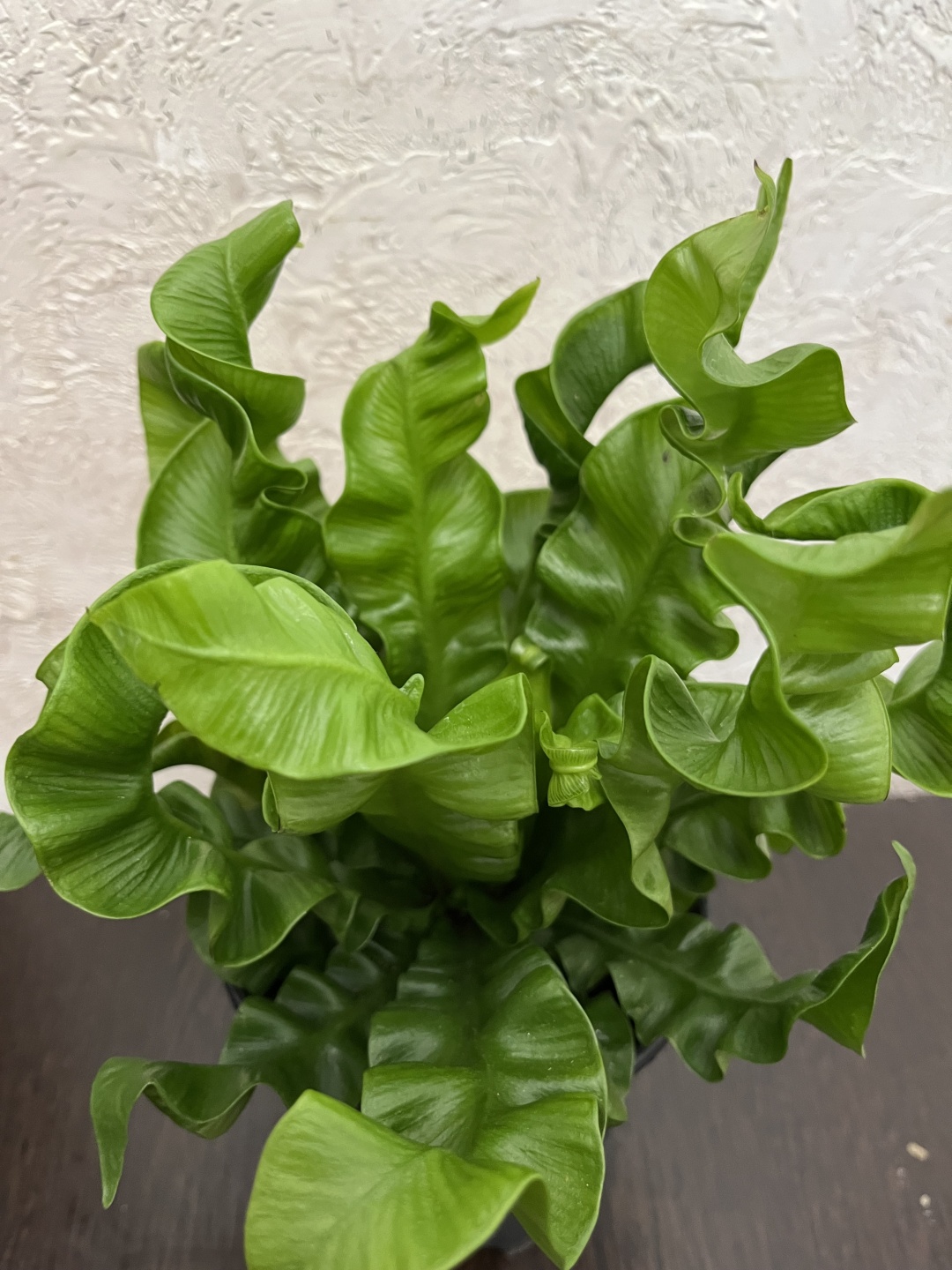 Фото 2