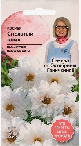 Агросидс трейд космея Снежный клик