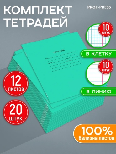 Набор школьных тетрадей Набор из 20 школьных тетрадей формата А5 с 12 листами в клетку и линейку. Зеленые однотонные обложки, 12 л, А5, комбинированная, мягкая обложка, 20 шт