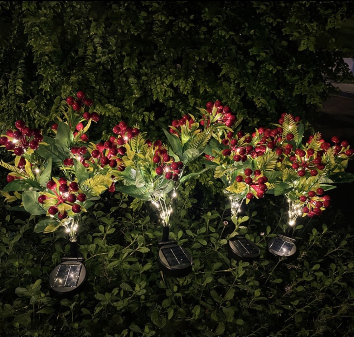 Фото 4