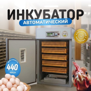 Fermer инкубатор, вместимость: 440 шт