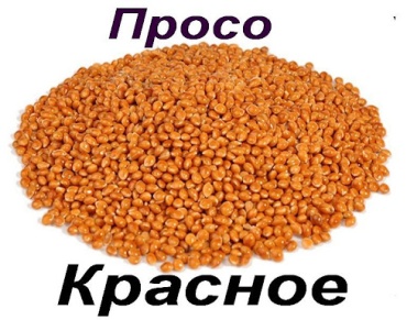 VetMag Просо красное для всех видов 2000 г