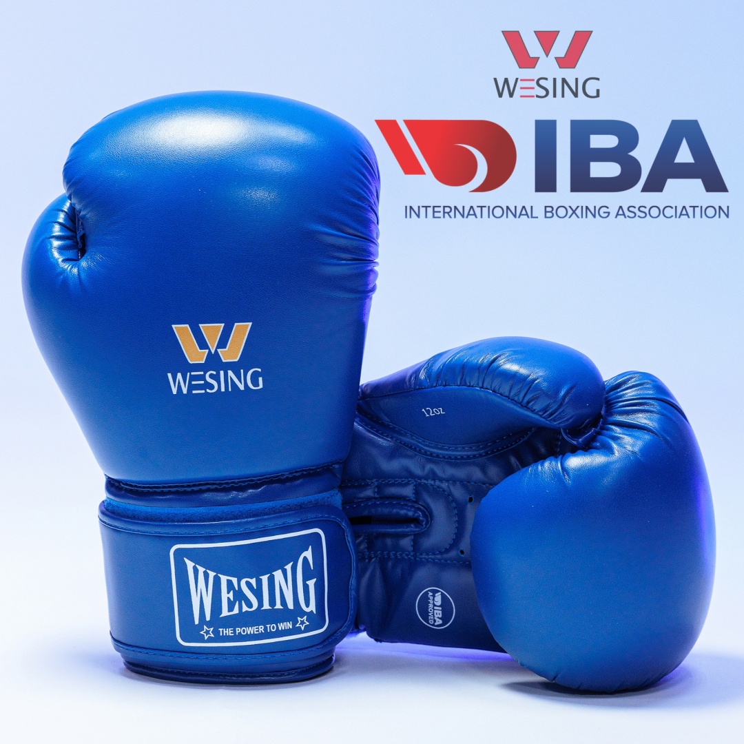 Боксерские перчатки WESING 10 oz синий