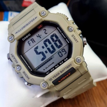 Кварцевые CASIO Casio CH AE-1600H-5AVDF полимерный пластик