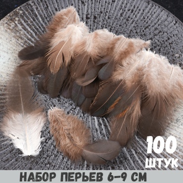 Декоративные перья Остров Творчества гусиные перья