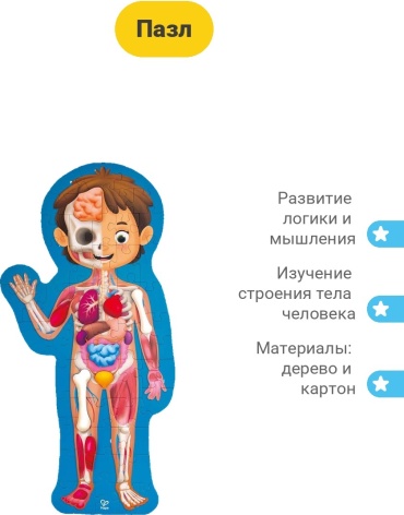 Пазл Hape Детский пазл-игрушка "Как устроено тело человека"