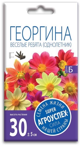 Агроуспех георгина Весёлые ребята