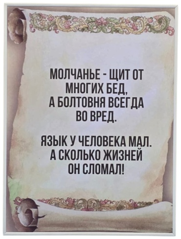 Sanalikz панно Молчанье- щит от многих бед, а болтовня всегда во вред 30x40 см