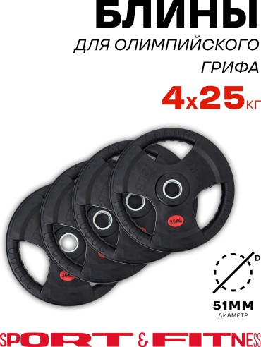 Sport&Fitness SFBRD001-25x4 25 кг
