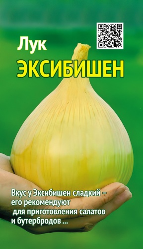 ТҰҚЫМ ҮЙІ лук репчатый ЭКСИБИШЕН