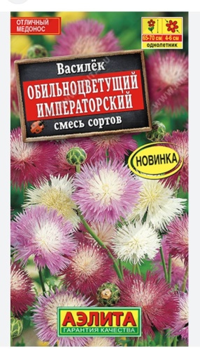 Аэлита василек Обильноцветущий Императорский