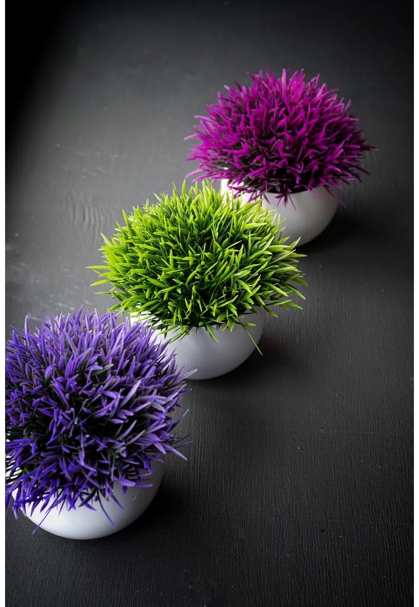 Фото 6