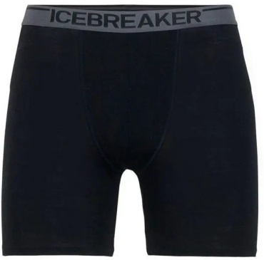 Боксеры IceBreaker черный