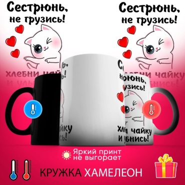 Кружка ИП Sova Сеструнь хамелеон