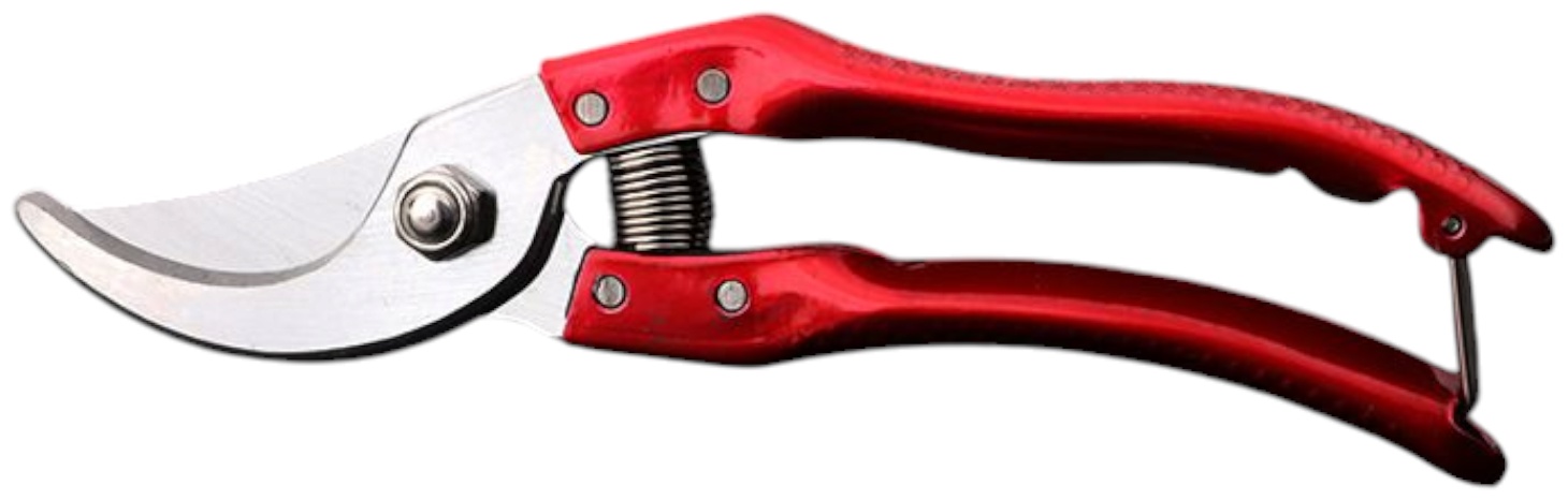 Секатор Tuosen TS-100526