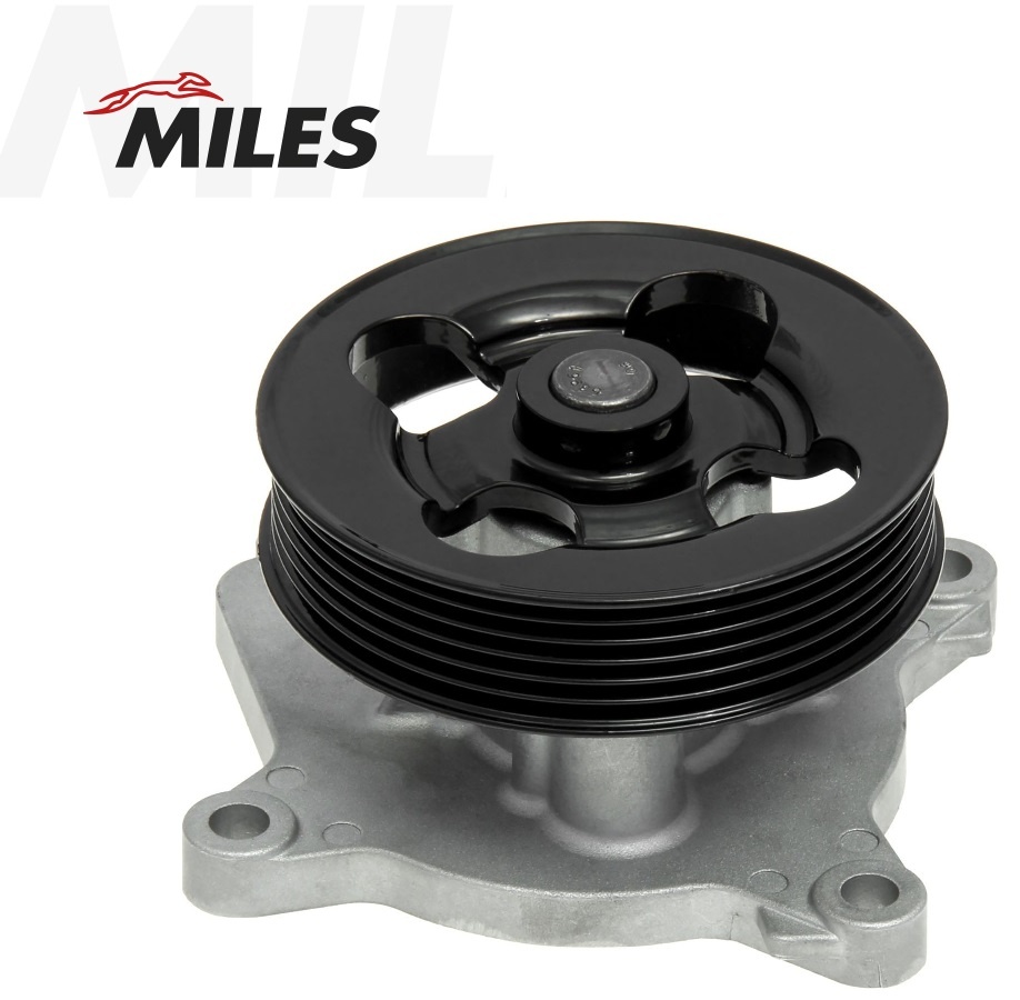 Насос MILES AN21344