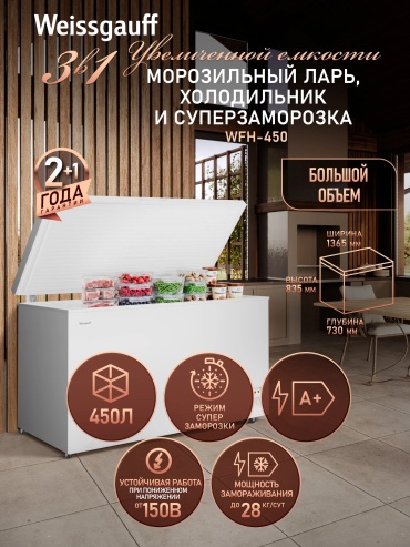 Weissgauff WFH-450 450 л светло-серый