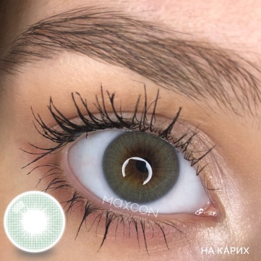 Контактные линзы MAXCON CLASSIC EMERALD -3.75 кривизна 8.6 на год 2 шт