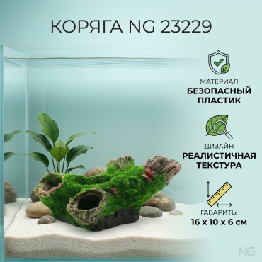 NG коряга 23229