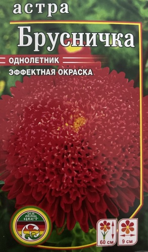 Мир семян астра Брусничка
