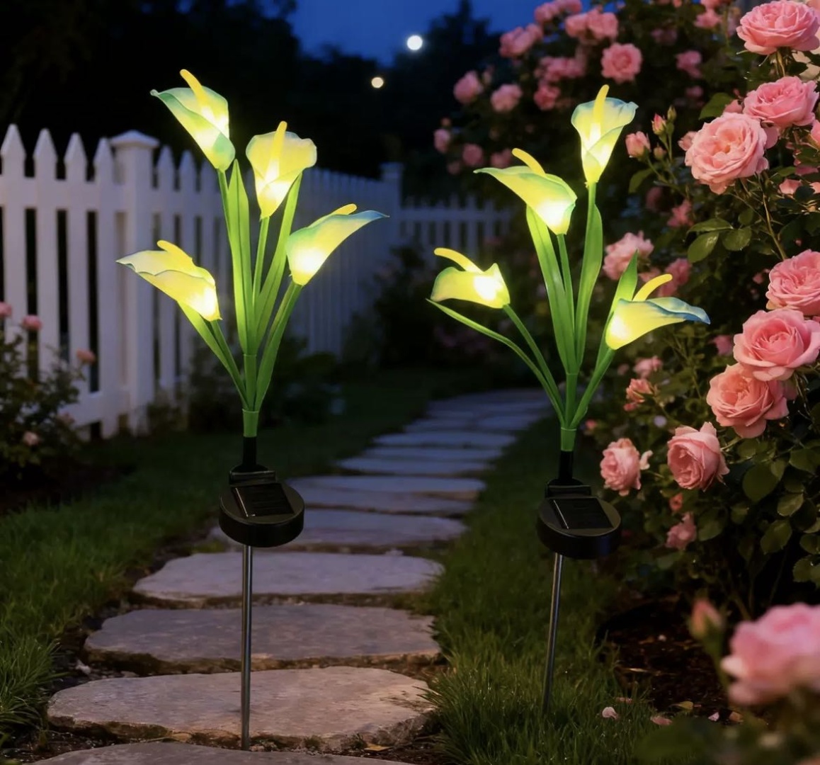 Фото 2
