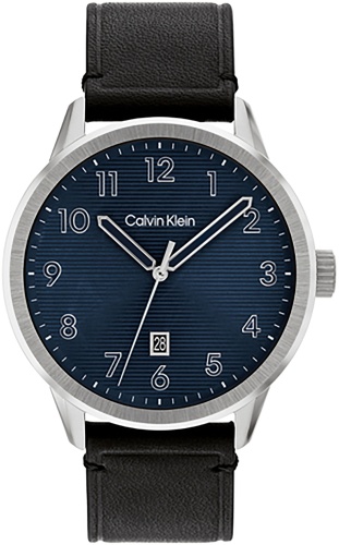 Кварцевые Calvin Klein 25200517 сталь