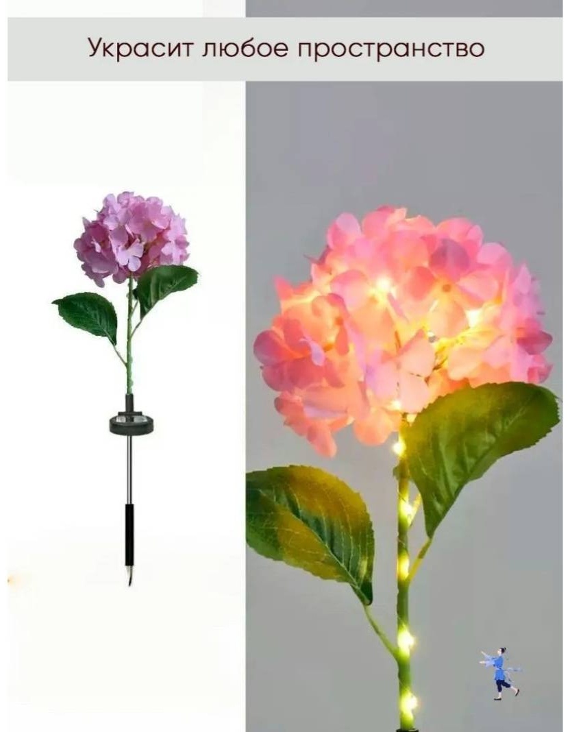 Фото 2