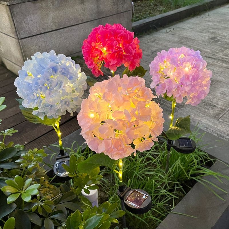 Фото 3