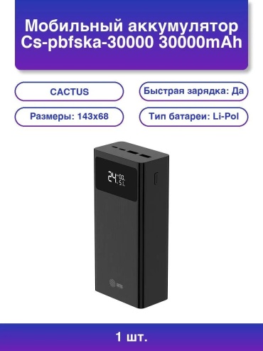 Внешний аккумулятор CACTUS 404544745 10000 мАч черный
