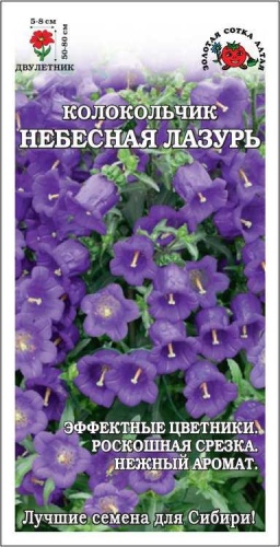 Золотая сотка Алтая колокольчик Колокольчик Небесная Лазурь