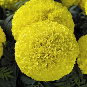 Фото 3