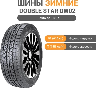 Double Star DW02 205/55 R16 91T без шипов