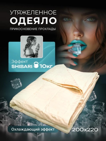 Одеяло LUCCI 8A3BB4520D80C9BA 200x220 всесезонное