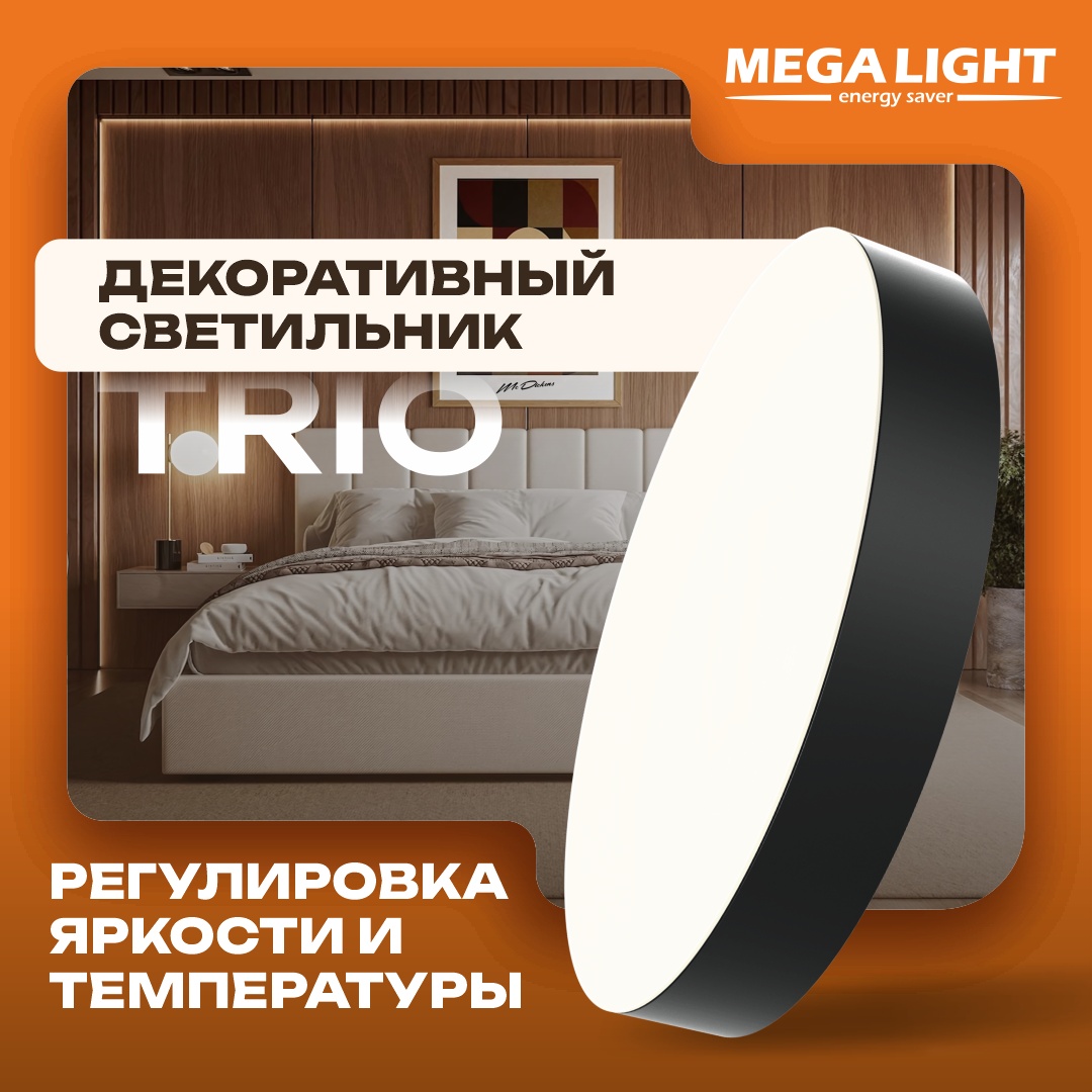 Светильник потолочный MEGALIGHT LED черный