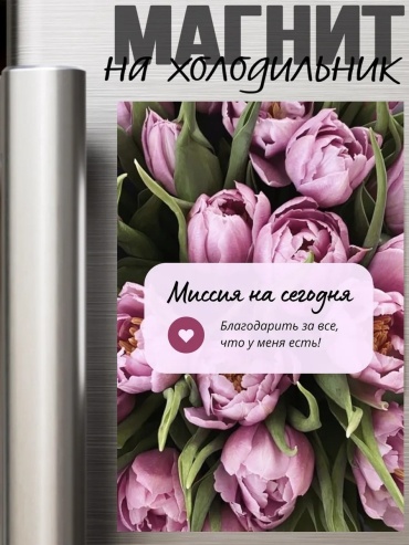 МЕМОмагнетикп магнит-сувенир Миссия на сегодня 1 шт