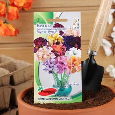 Premium Seeds виола Мулен Руж