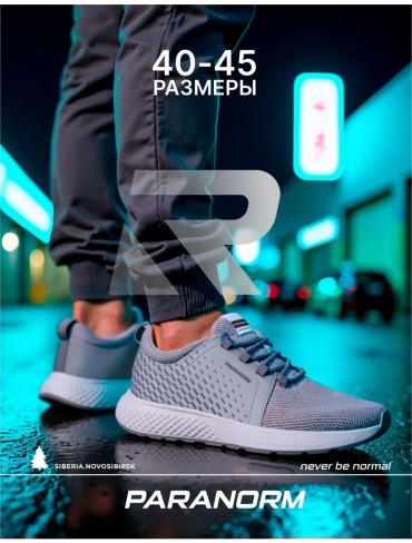 Кроссовки PARANORM серый