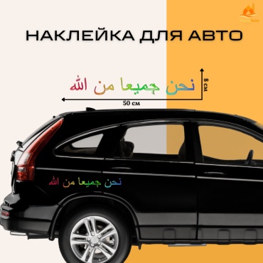 Manziluna наклейка хамелеон 50х8см