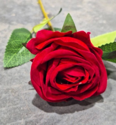 Фото 3