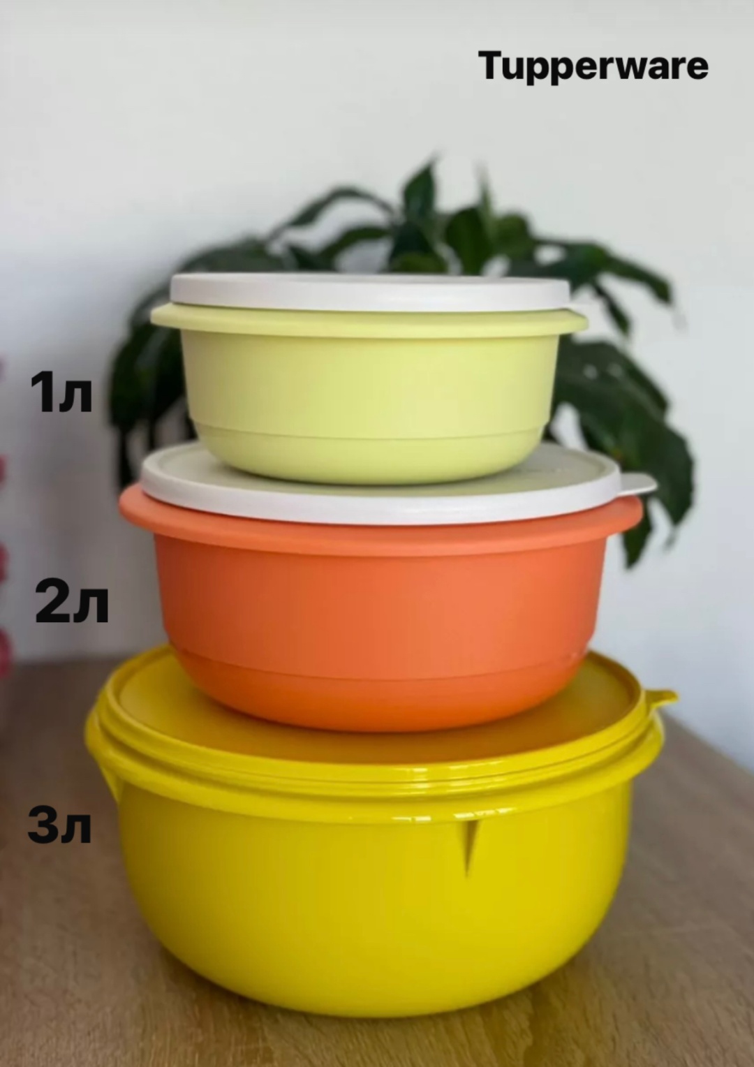 Миска Tupperware 22х22 см, полимер, 3 шт