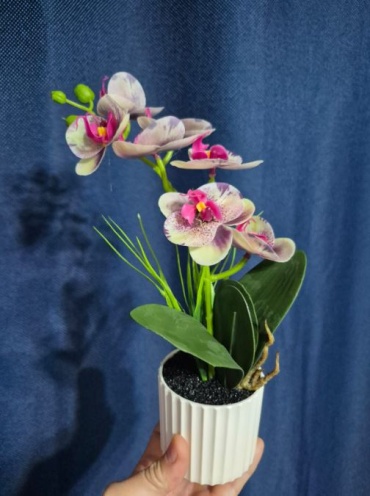 Фото 3