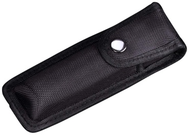 Чехол Fenix ALP-10L