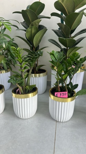 Фото 2