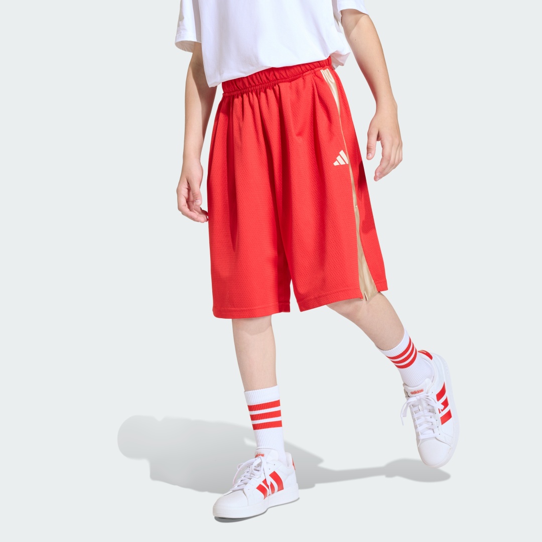 Спортивные шорты adidas красный